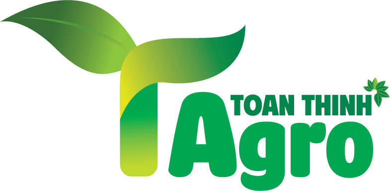 Logo Toàn Thịnh